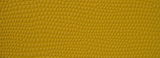 09x2551.jpg