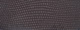 09x2557.jpg