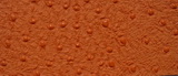 332x2805.jpg